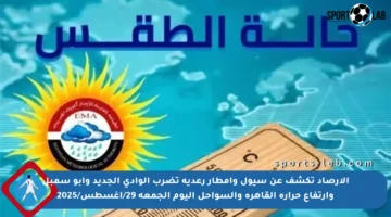 الأرصاد تكشف عن سيول وأمطار رعدية تضرب الوادي الجديد وأبو سمبل وارتفاع حرارة القاهرة والسواحل اليوم الجمعة 29/أغسطس/2025